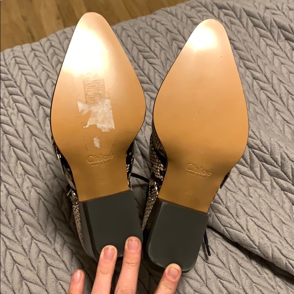 Chloe Snakeskin Reilly Boots - Picture 2 of 5